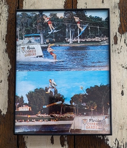 Vintage cypress gardens - vintage, water