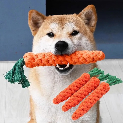 Carrot dog chew rope - carrot,