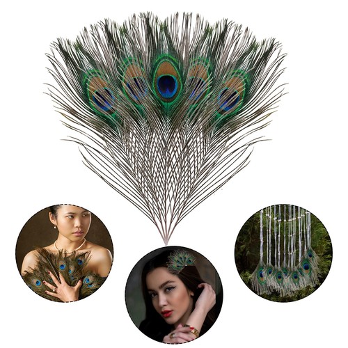 Peacock tail feathers - peacock,