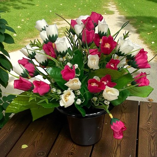 Dark pink white - pink-, tulips
