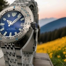 Mens Luxury Divers Watch Seiko