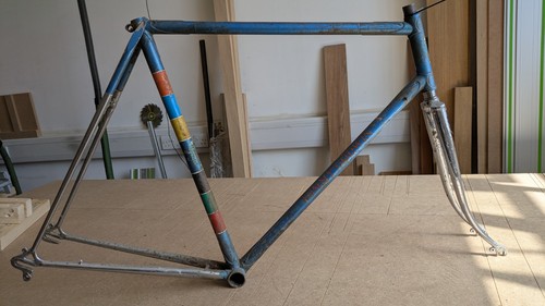Tommy godwin 60cm - godwin, 531