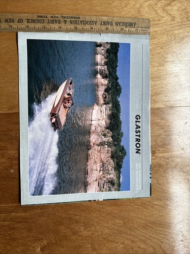 Vintage 1980 glastron - vintage,