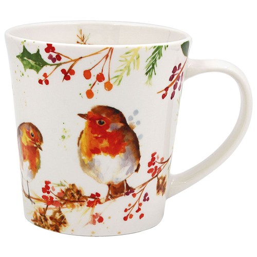 Winter robin bird christmas - bird,