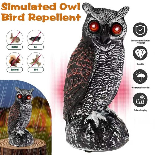 Solar owl scare bird control - solar,