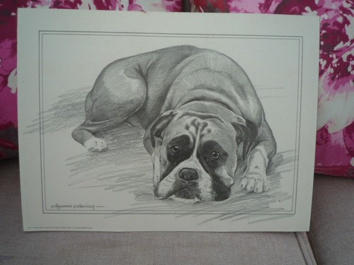 Vintage print picture boxer - vintage,
