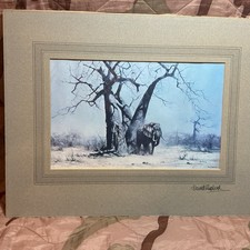 David Shepherd Elephant Old George under his favourite Baobab tree' Signed twice