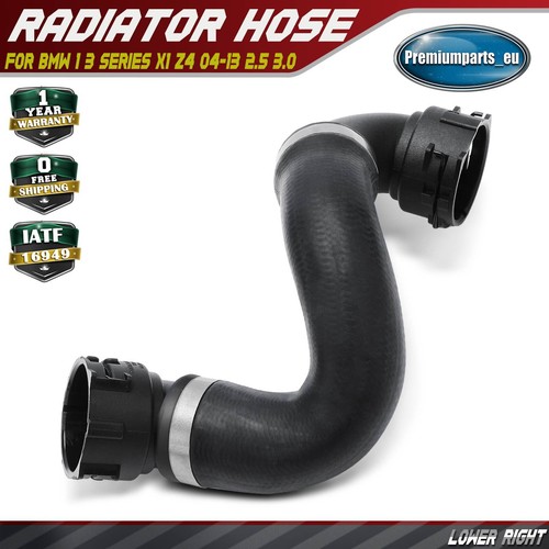 Radiator hose lower right - hose, lower right