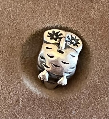 Genuine pandora owl - genuine, charm