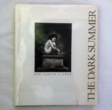 The Dark Summer by Bob Carlos