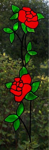 One trailing rose stained - trailing,