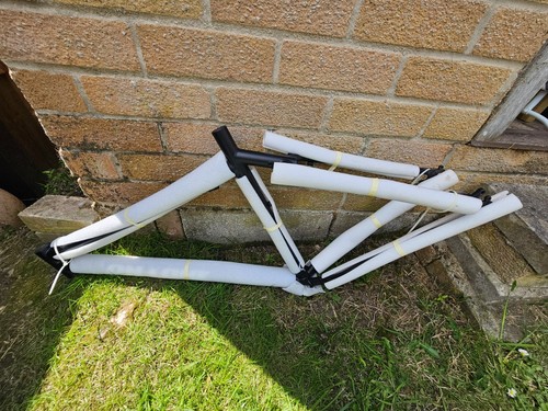 One dn6 inbred black - on, dn6,