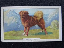 TIBETAN MASTIFF Dogs 2nd Series by Gallaher Ltd 1938