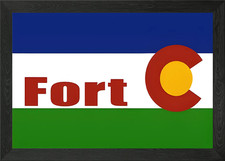 Fort Collins Flag Framed Wall