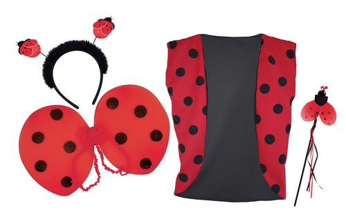 Childs insect ladybird - insect,