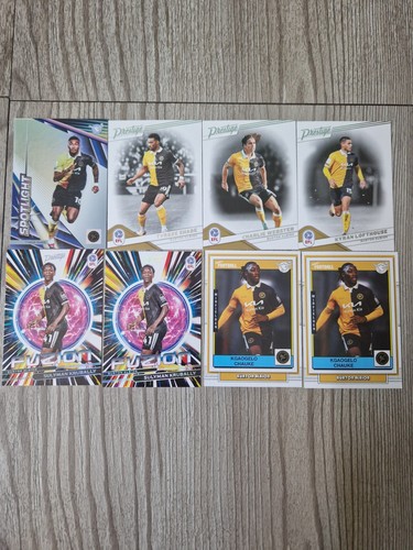Panini efl burton albion - 25/26,