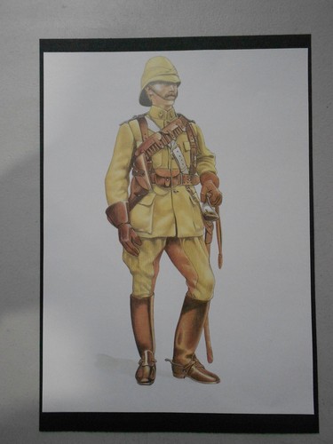 Military print elite - military,