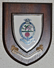 6th/7th  Battalion Princess of