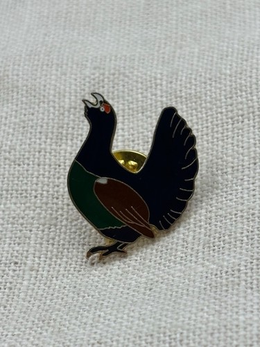 Vintage black grouse bird - vintage,