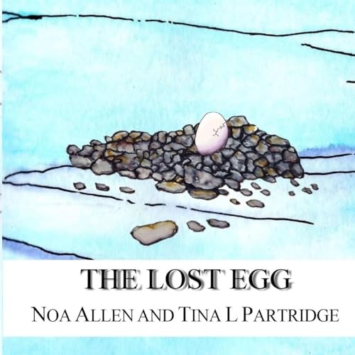 Lost egg noa allen and - noa,