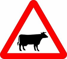Cattle Road safety sign