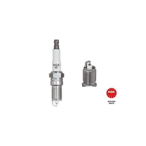 Ngk 3951 tr55 - tr55, spark