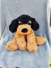 Cuddles Time Max The Cockerpoo