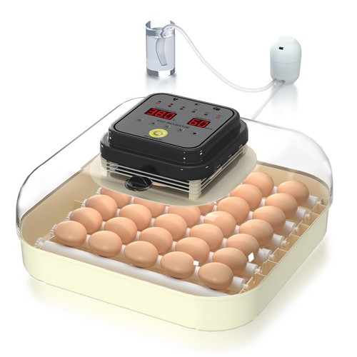 Hethya incubator for eggs - incubator,