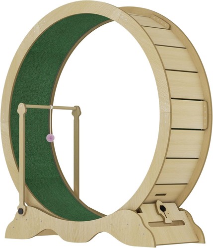 Quiet cat exercise wheel - exercise, w/