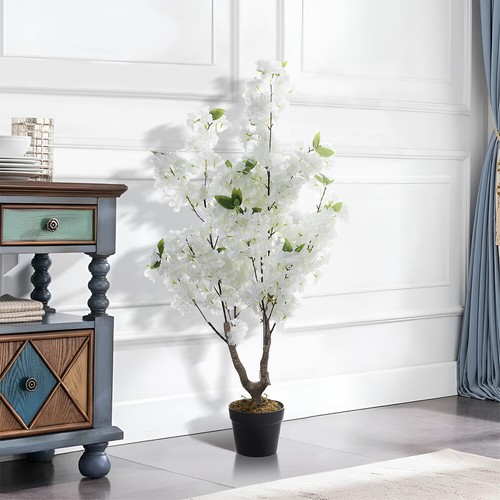 Tall cherry tree bush - tall,