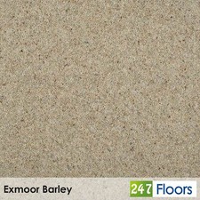 Exmoor Barley Natural Berber
