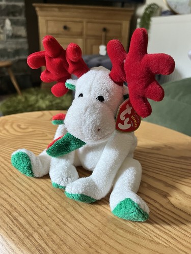 Rare moosletoe - moosletoe, (moose)