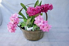 Antique French Brass Flower