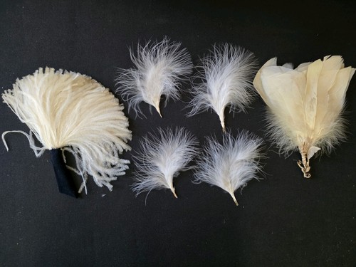 White millinery feathers - white,
