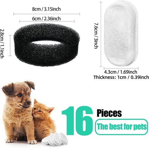 Pet dog cat - pet, fountain