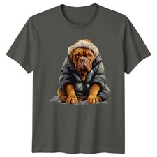 Dogue De Bordeaux Winter