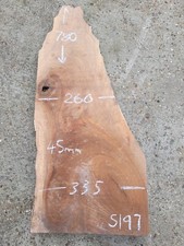 English Black Walnut Timber Slab Live Edge Air Dried Hardwood 780mm (S197)