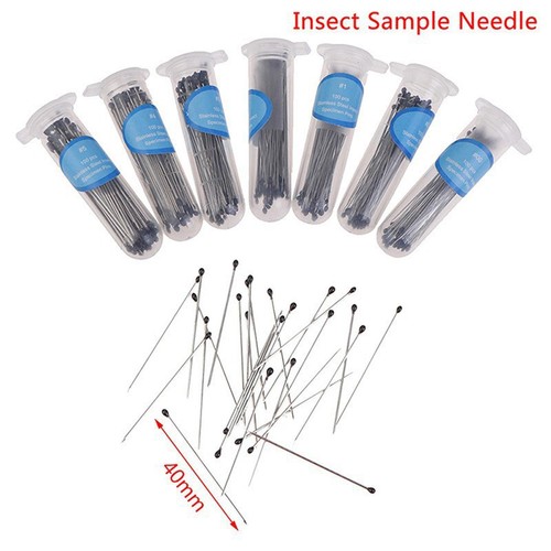 100x insect pins teaching - pins,