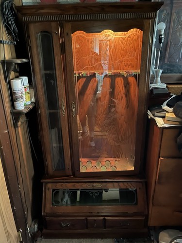 Gun cabinet - gun,