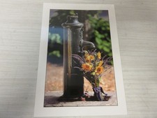 CP POSTCARD MEDITERRANEAN