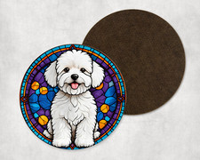 Beautiful Bichon Frise Dog