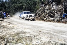 Hannu Mikkola Arne Hertz, Ford