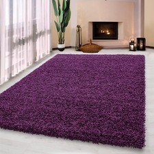 Thick Large Shaggy Rugs Non