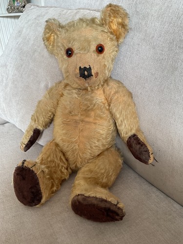 Vintage shaved muzzle - vintage, teddy