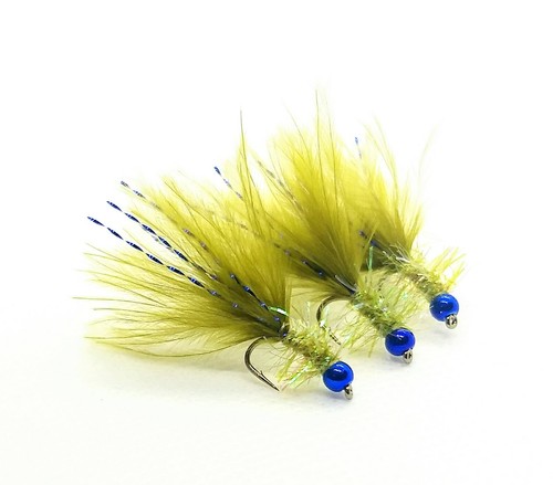 Blue flash damsel olive - 3,