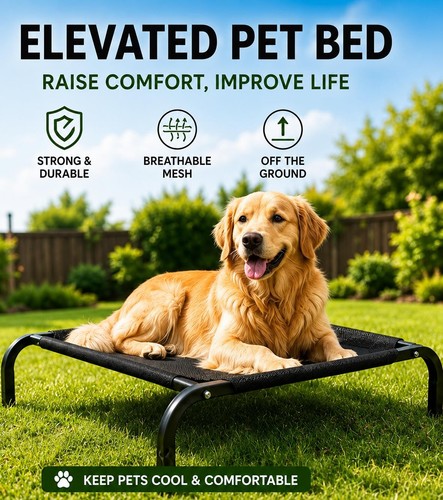 Elevated pet bed - elevated, dog