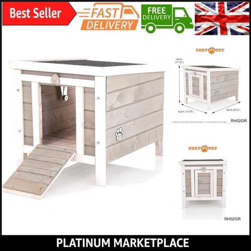 Outdoor grey rabbit - rabbit, &