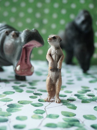 Schleich meerkat gorilla - meerkat, +