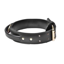 Dog Collar With Handle Real