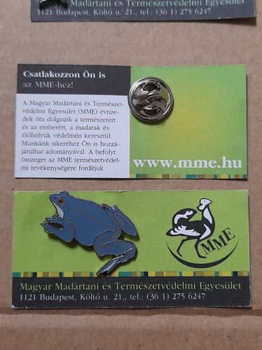Mme moor frog charity - moor,
